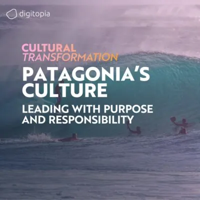 Patagonia’s Culture of Environmental Stewardship: Leading with Purpose and Responsibility