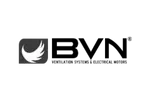 BVN