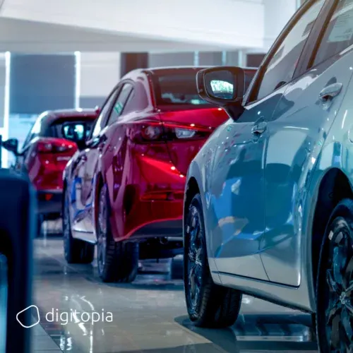 New cars lined up in a dealership showroom